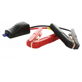 Micro-Start 11SCX-HD Batteries - Survoltage