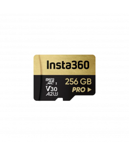 CARTE MEMOIRE INSTA 256GB