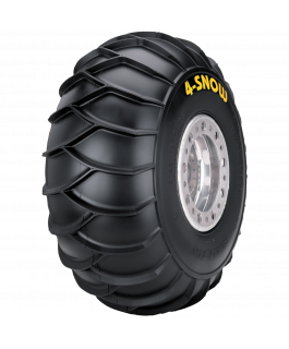 22X10-9 M910 2PR TL 4-SNOW