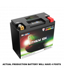 HVT20HQ-FP V-TWIN LI-ION BATTERIE