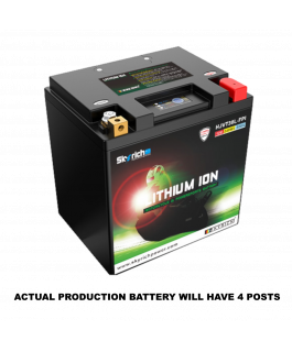 HVT30HQ-FP V-TWIN LI-ION BATTERIE
